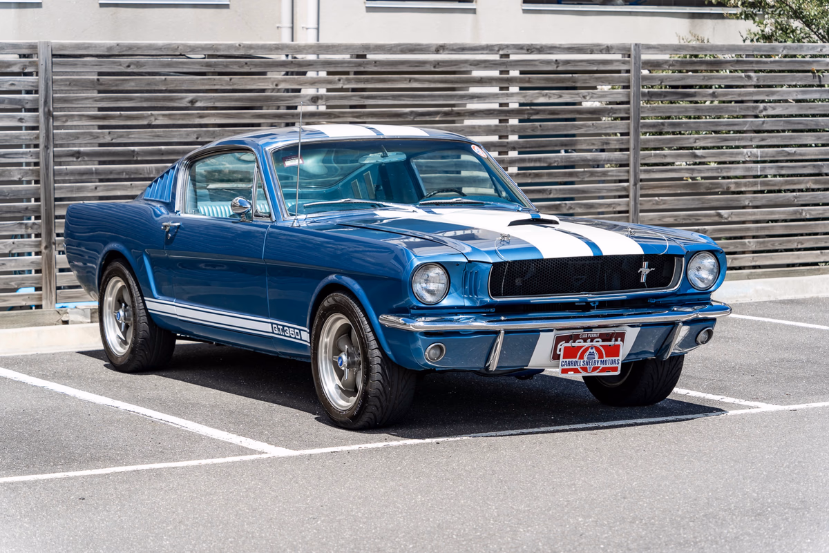 Ford Mustang GT350 Tribute cover